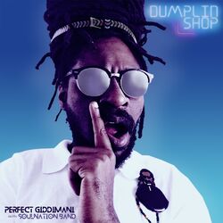 Cover of Dumplin Shop