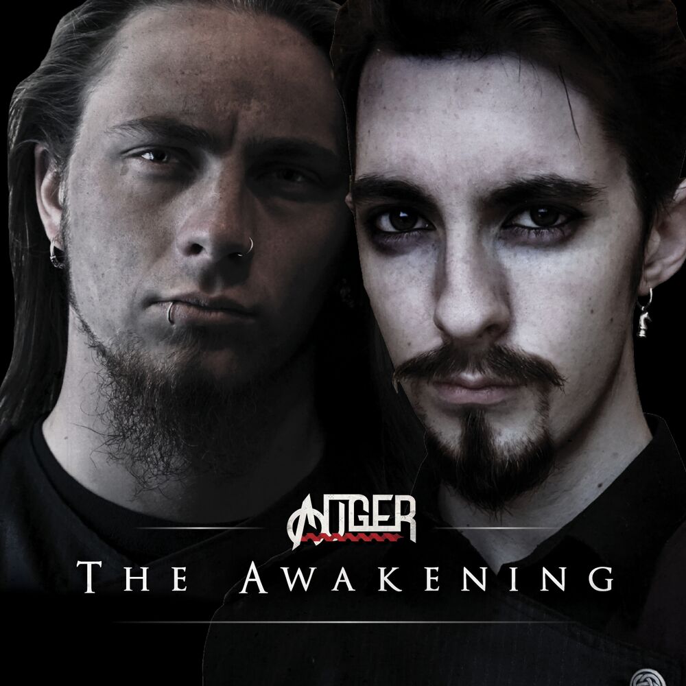 Picture of The Awakening