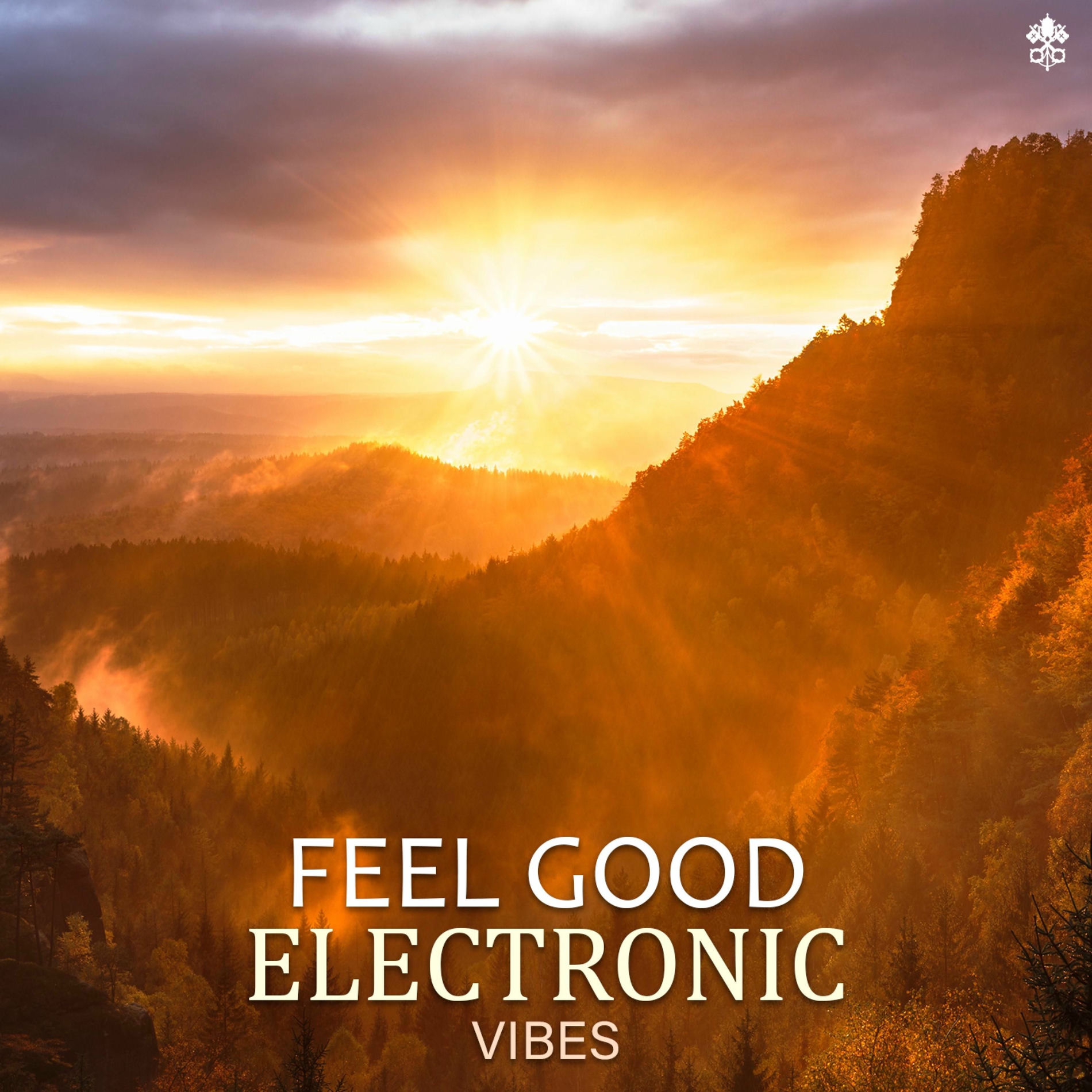 Album cover of Feel Good Electronic Vibes