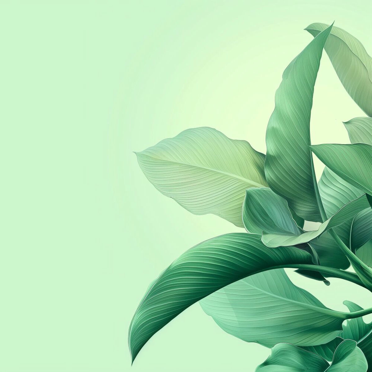 Album cover of Island Magic