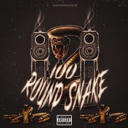Cover of 100 Round Snake
