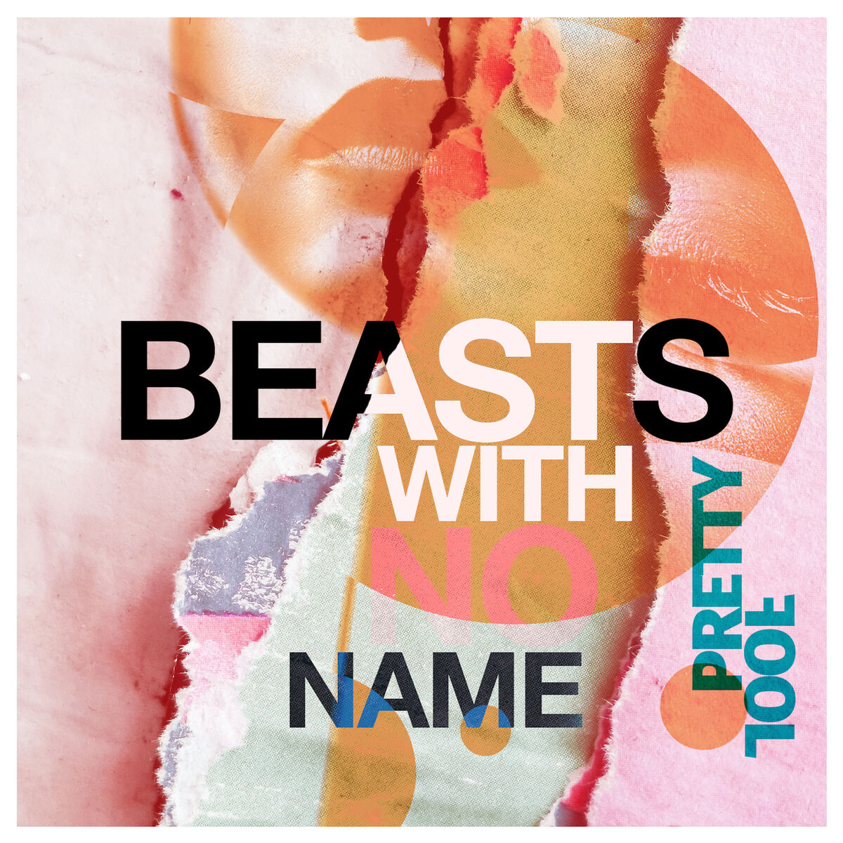 Album cover of Pretty Fool