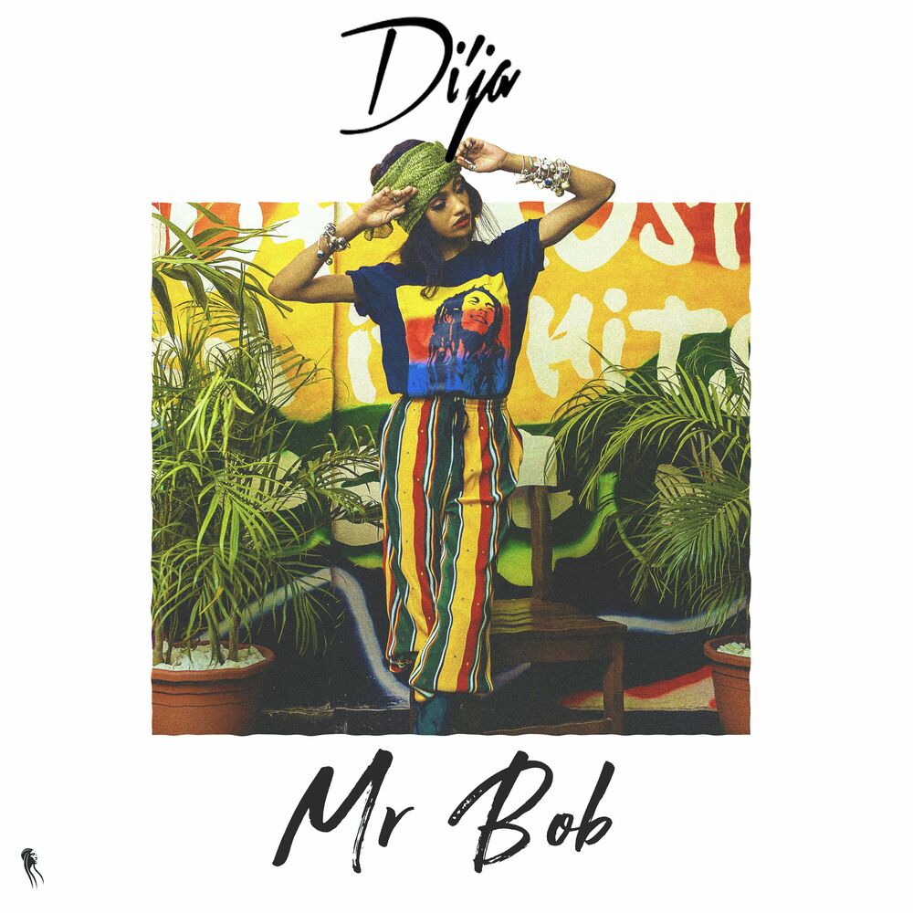 Picture of Mr Bob
