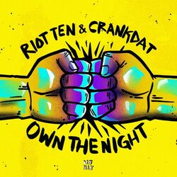 Cover of Own The Night
