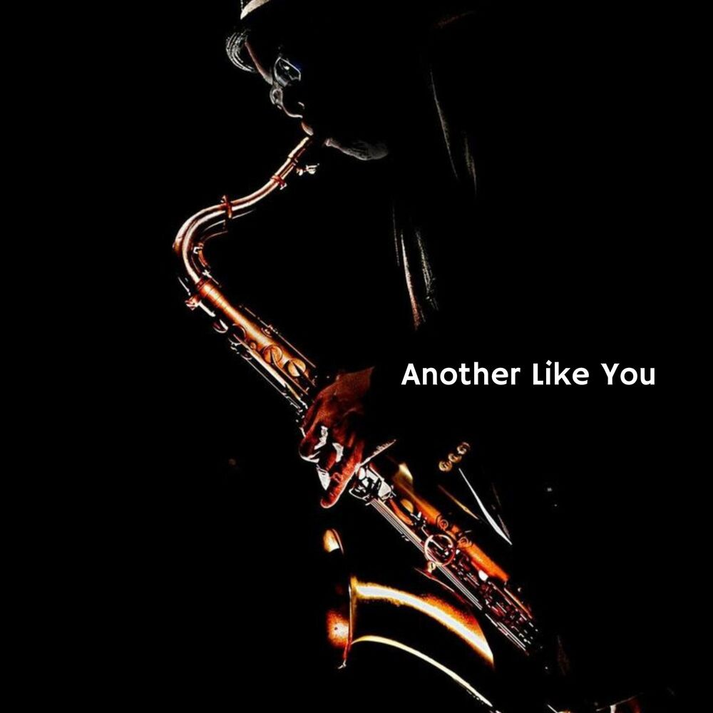 Picture of Another Like You