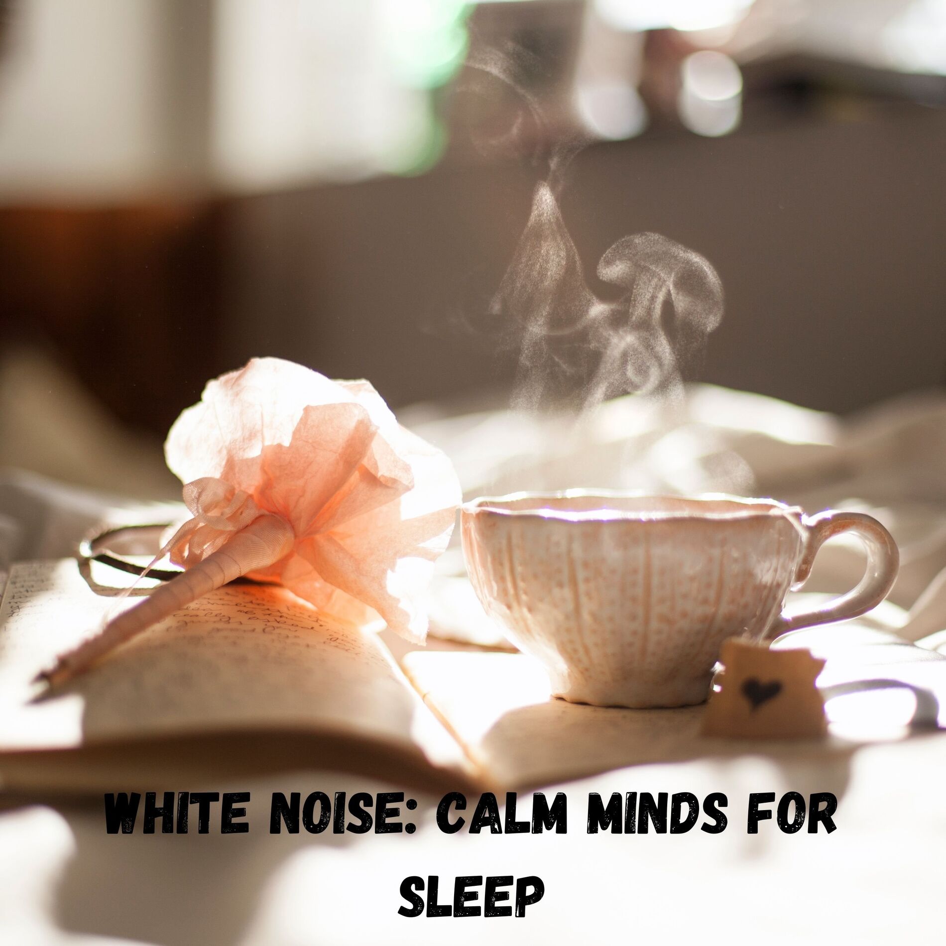 Album cover of White Noise: Calm Minds for Sleep