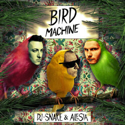 Cover of Bird Machine