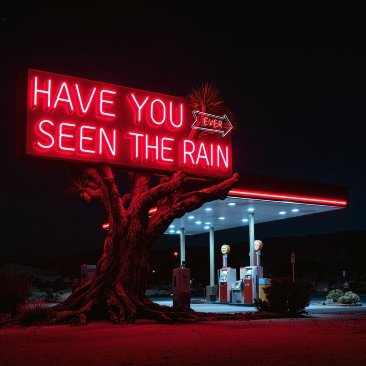 Album cover of Have You Ever Seen the Rain