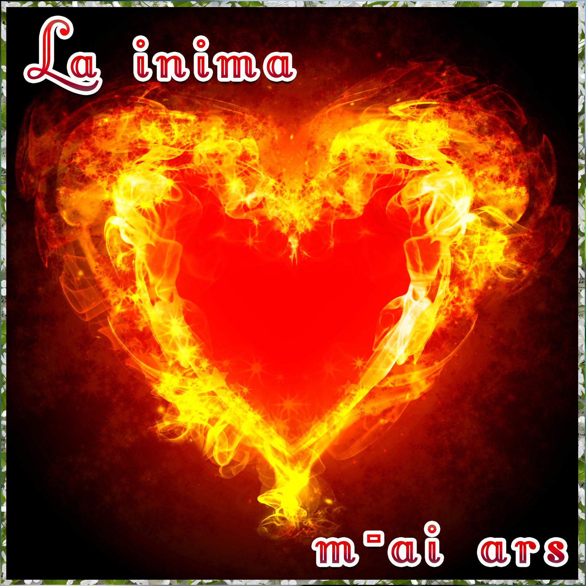 Album cover of La inima m-ai ars