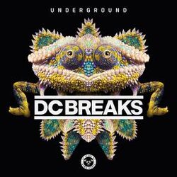 Cover of Underground