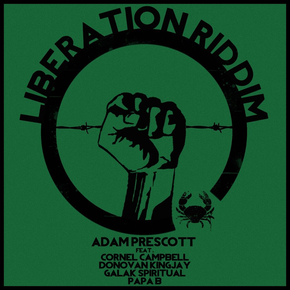 Picture of Liberation Riddim