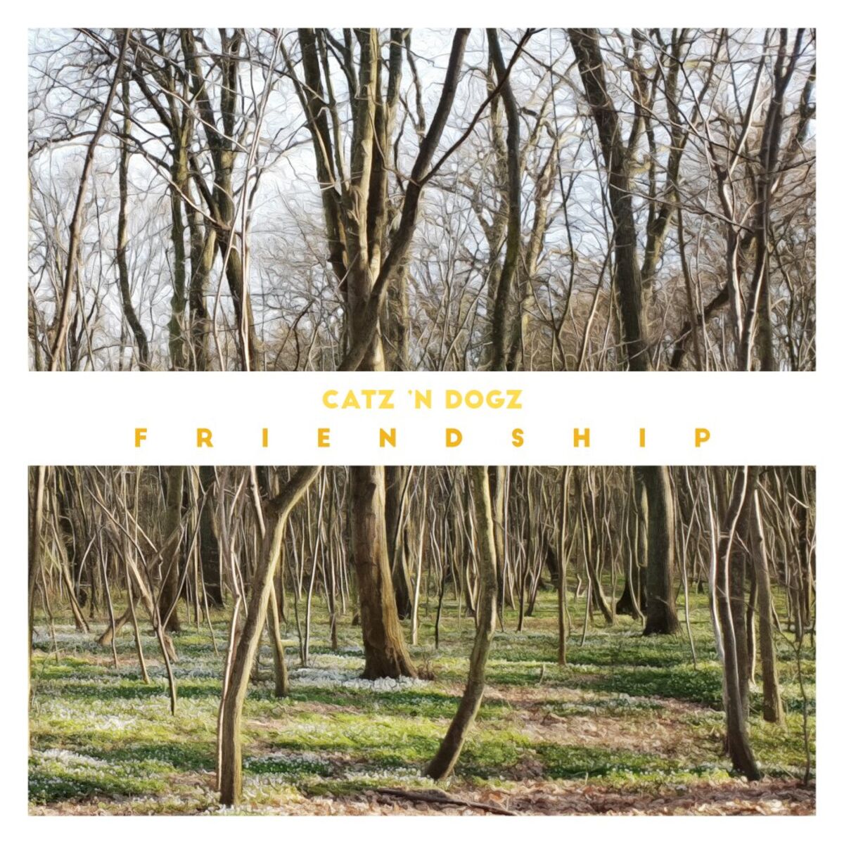 Album cover of Would You Believe