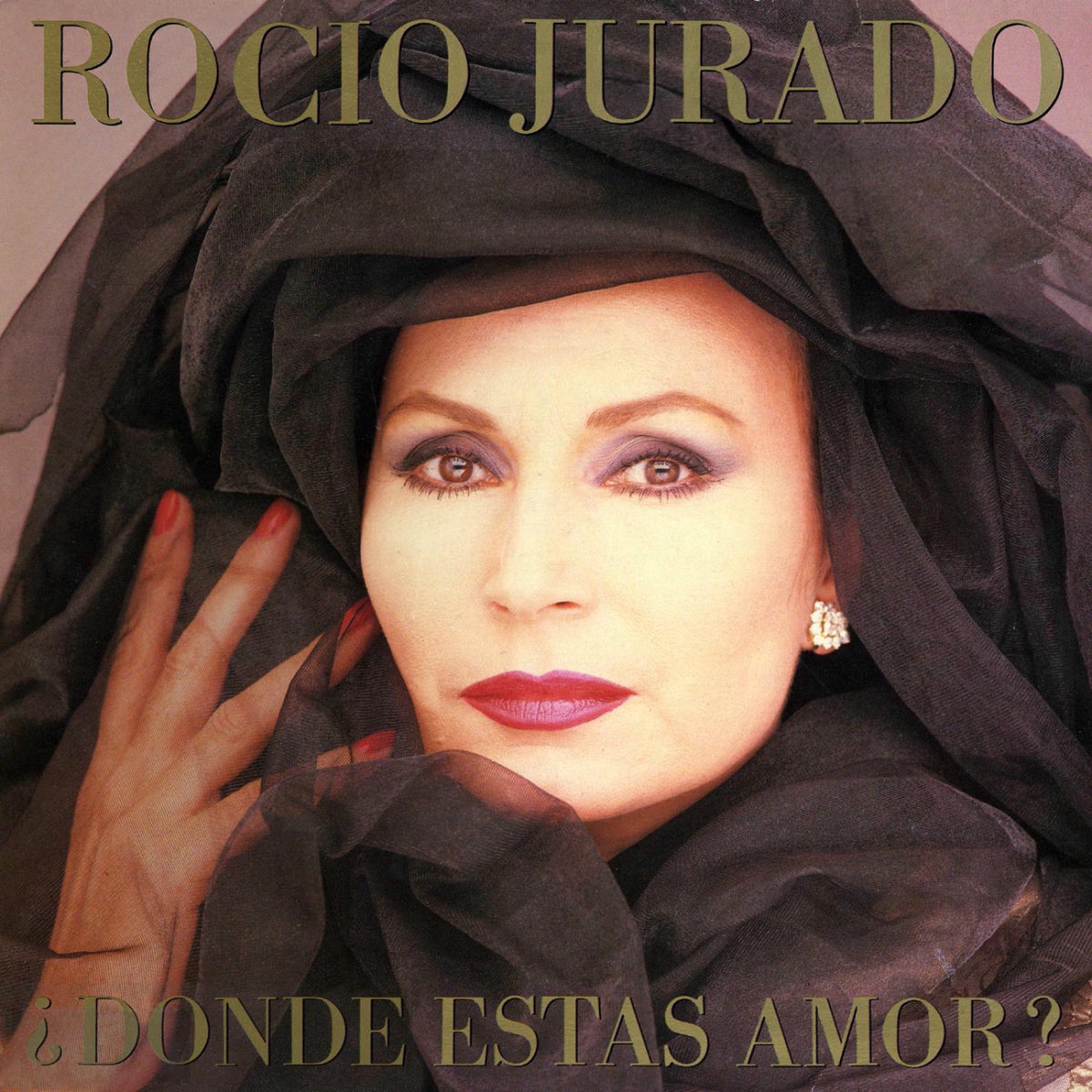 Album cover of Dónde Estás Amor?