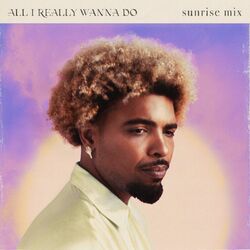 Cover of All I Really Wanna Do (Sunrise Mix)
