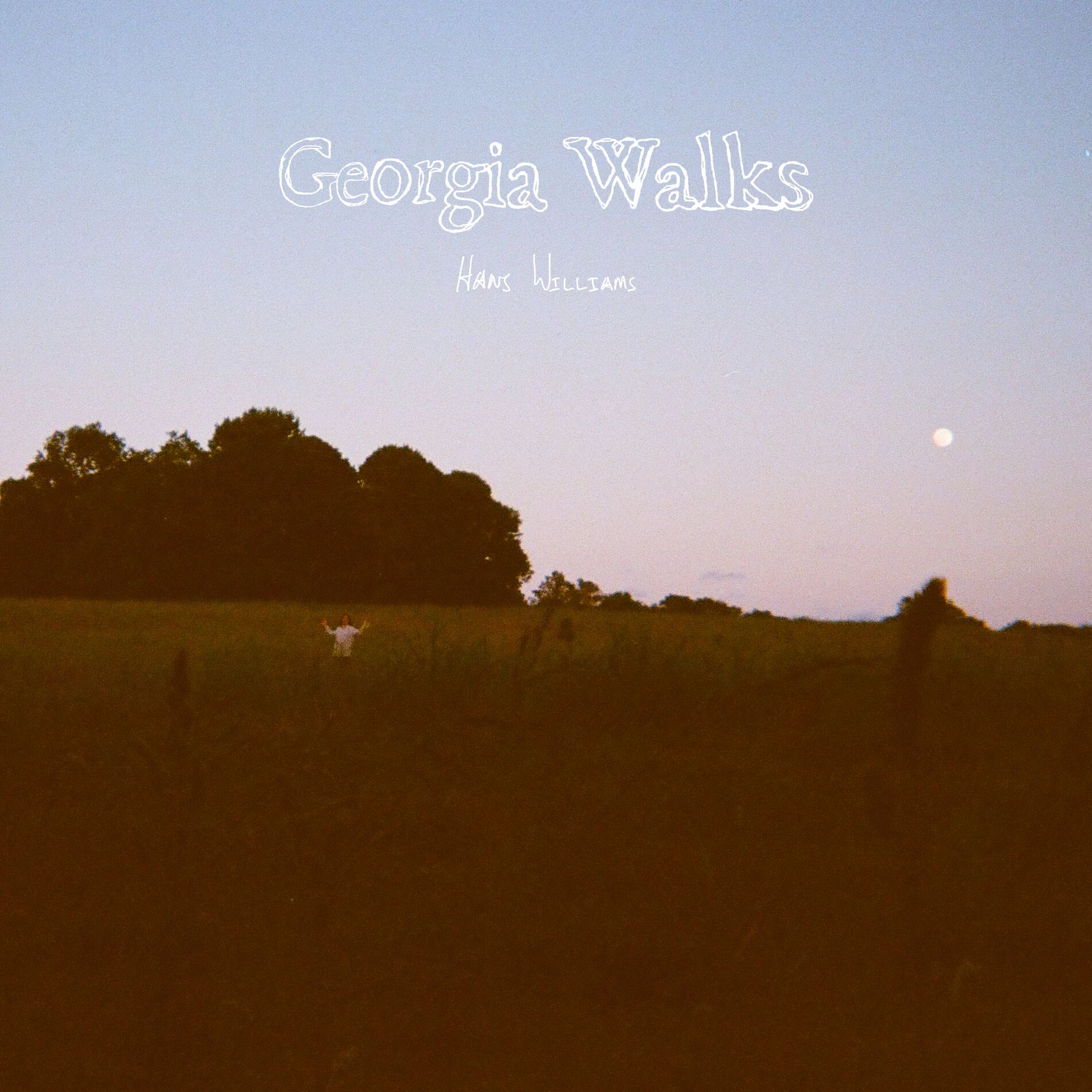 Album cover of Georgia Walks