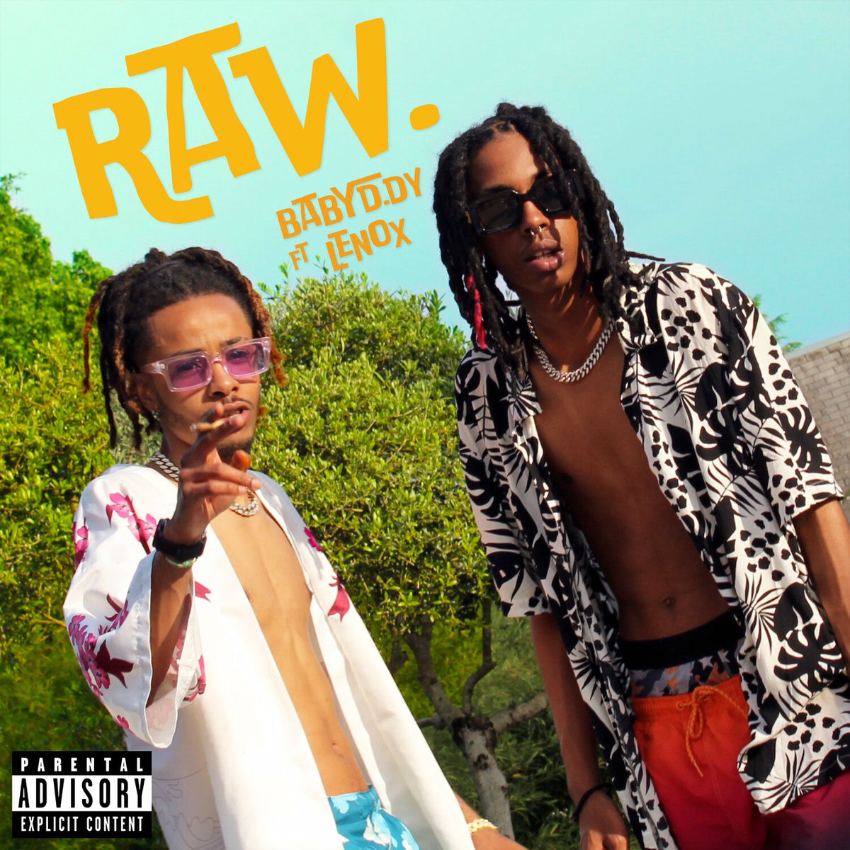 Album cover of Raw