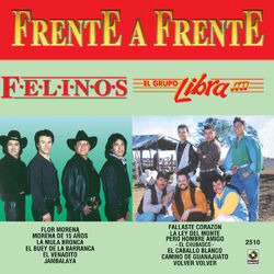 Cover of Frente A Frente