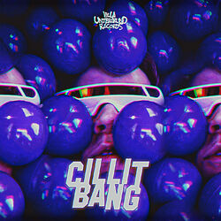 Cover of Cillit Bang