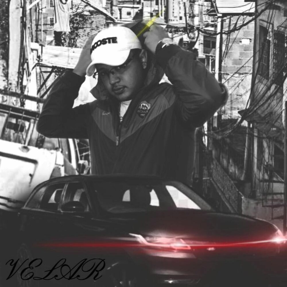 Picture of Velar