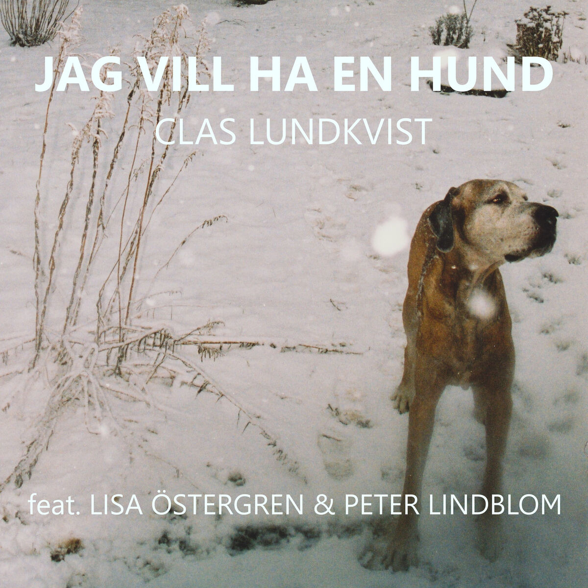 Album cover of Jag vill ha en hund