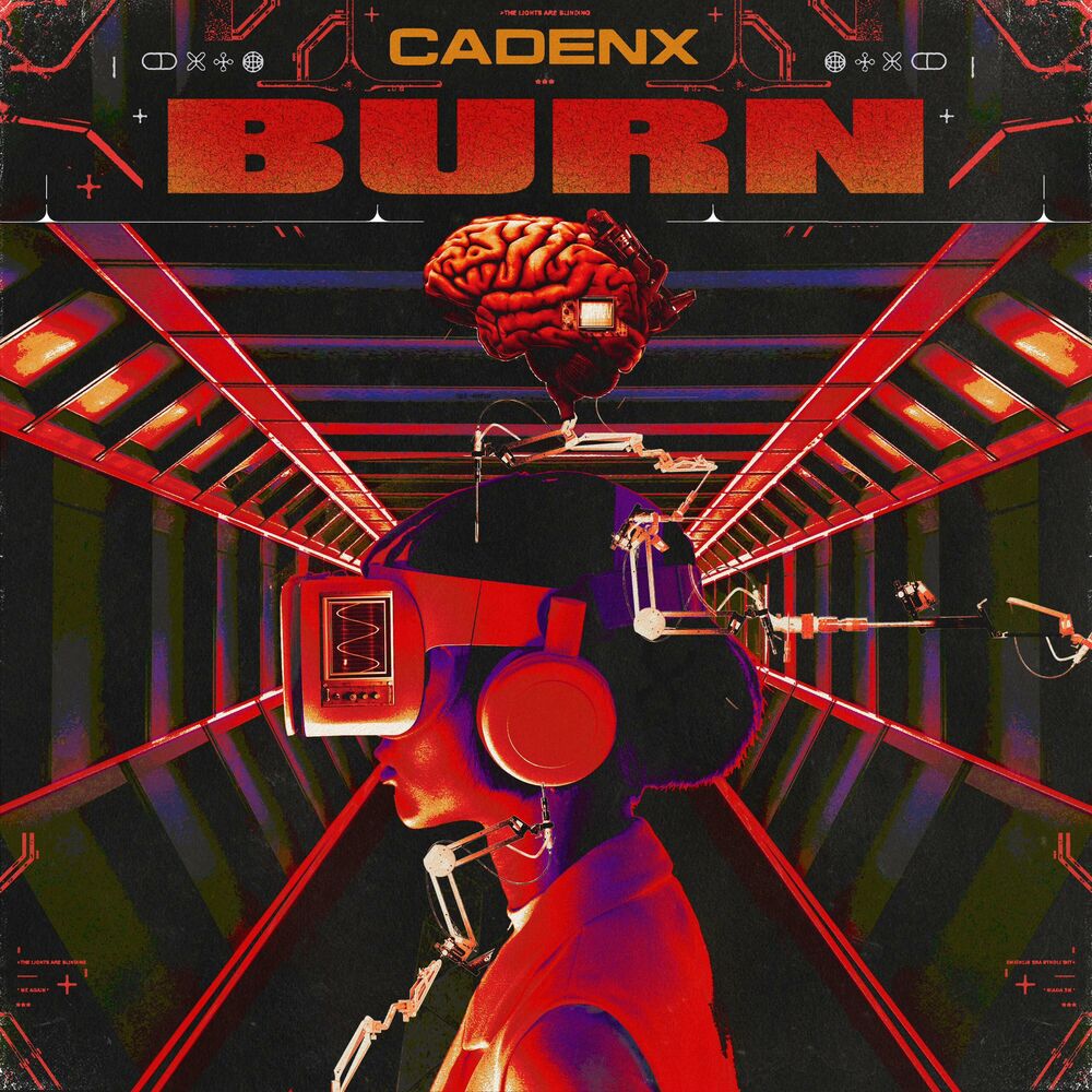 Picture of Burn