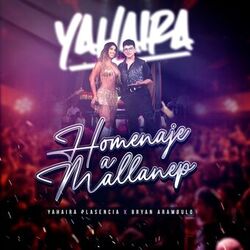 Cover of Homenaje Mallanep (Dónde Está el Amor + Tendria Que Llorar)