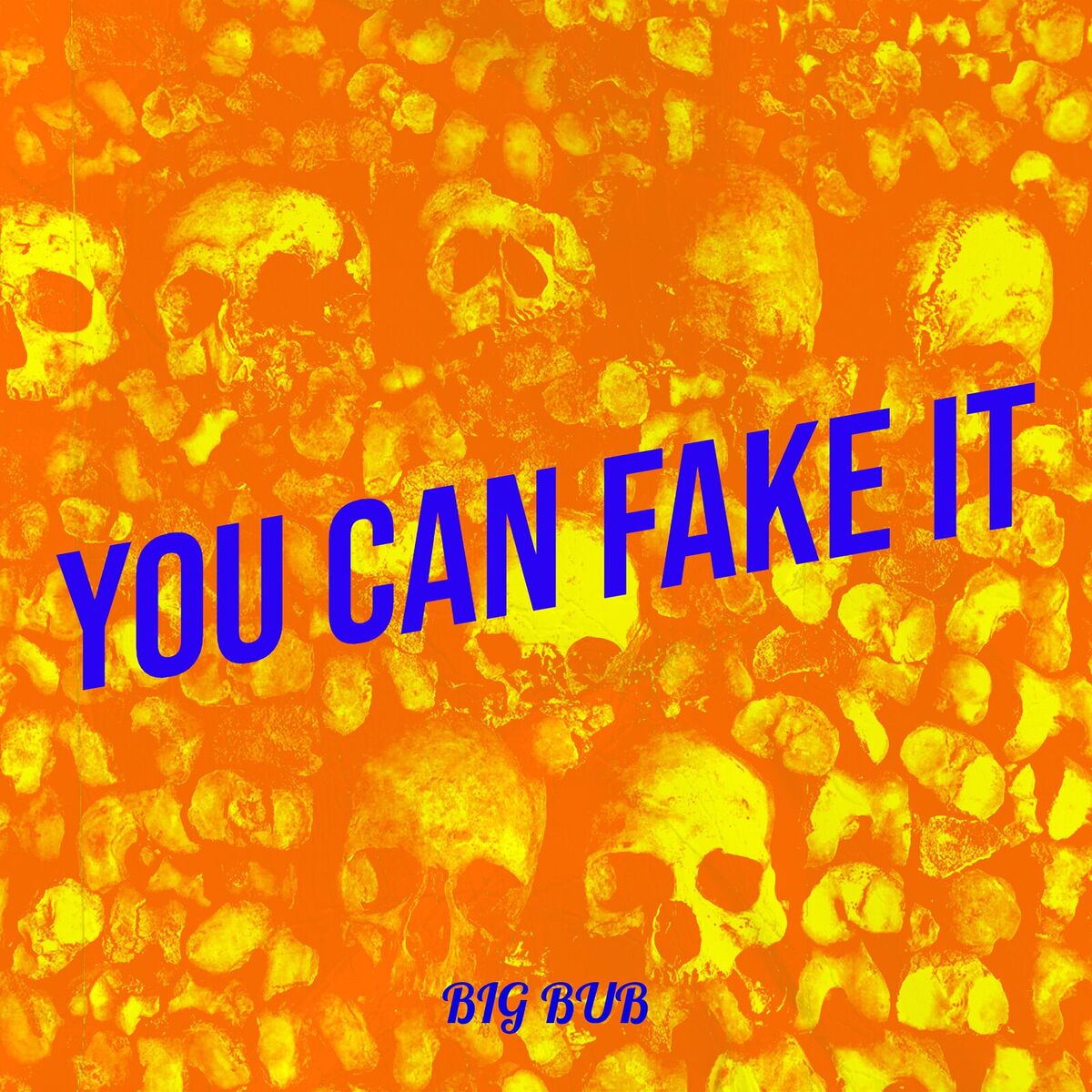 Album cover of You Can Fake It