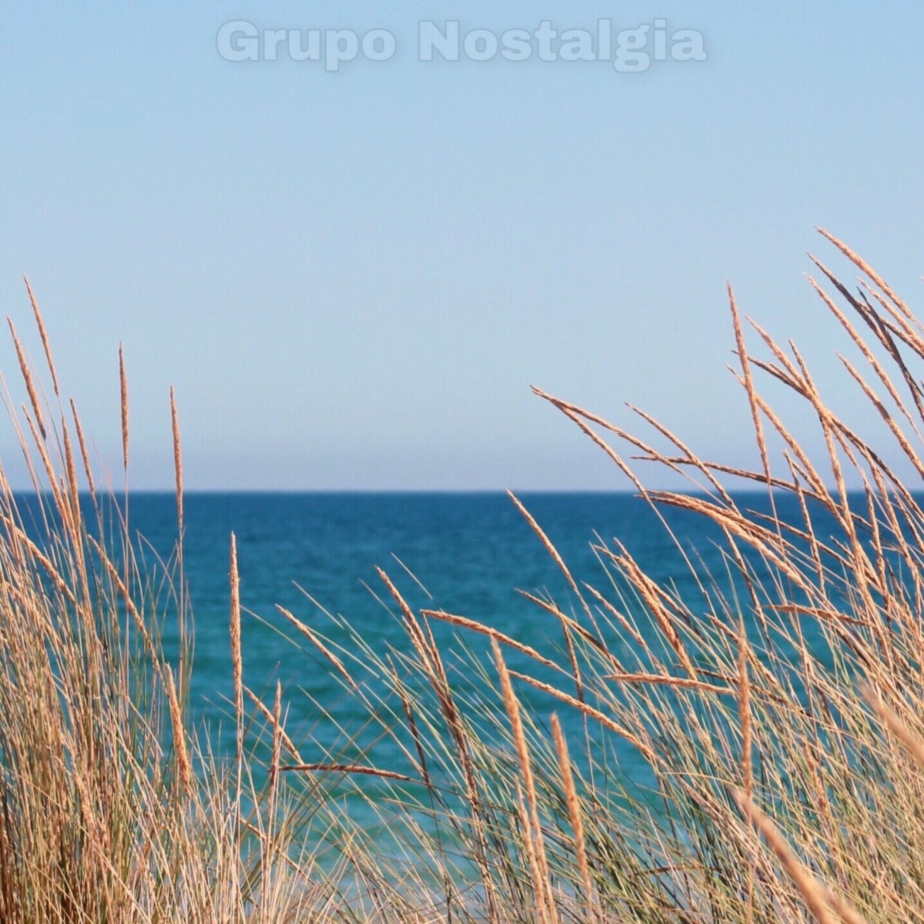 Album cover of Grupo Nostalgia