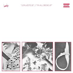 Cover of Lemlæstelse / I'm All Broke Up