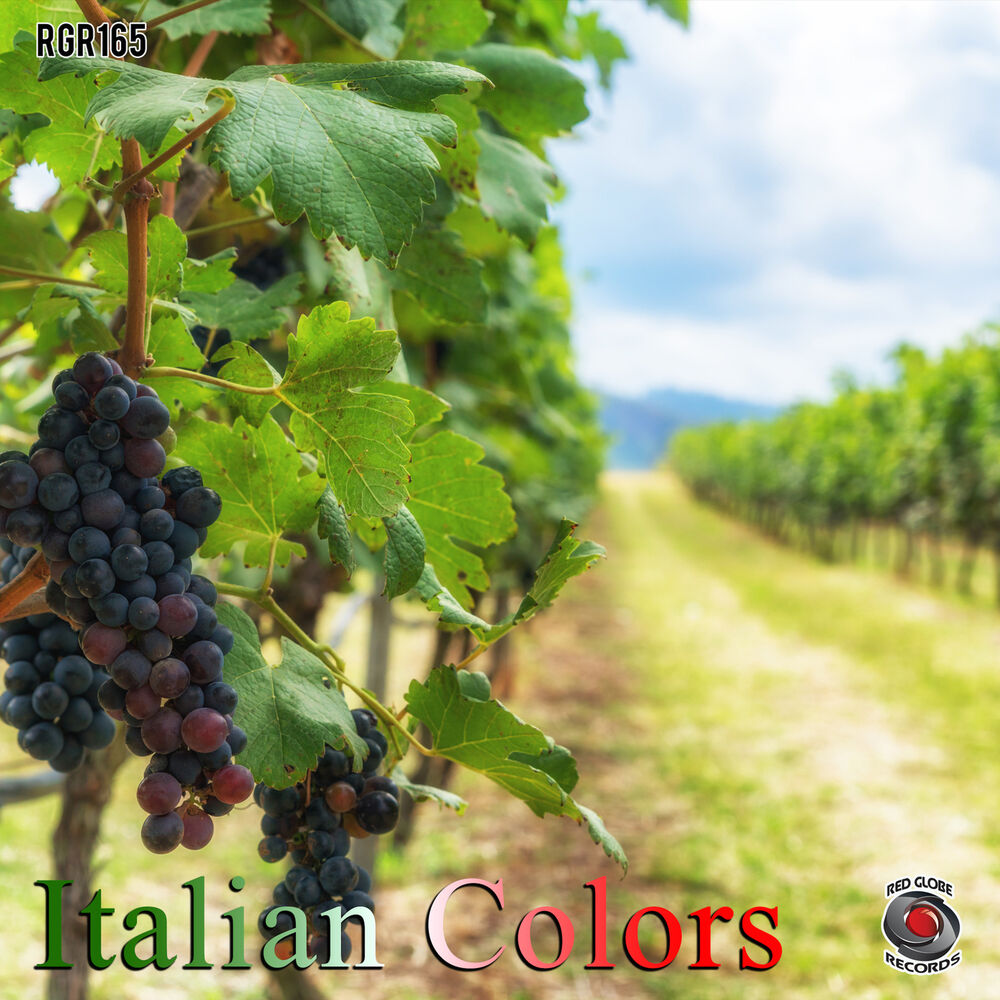 Picture of Italian Colors