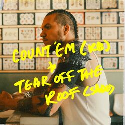 Cover of COUNT 'EM / TEAR OFF THE ROOF (REMIXES)