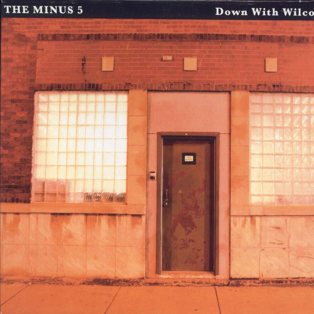 Picture of Down With Wilco