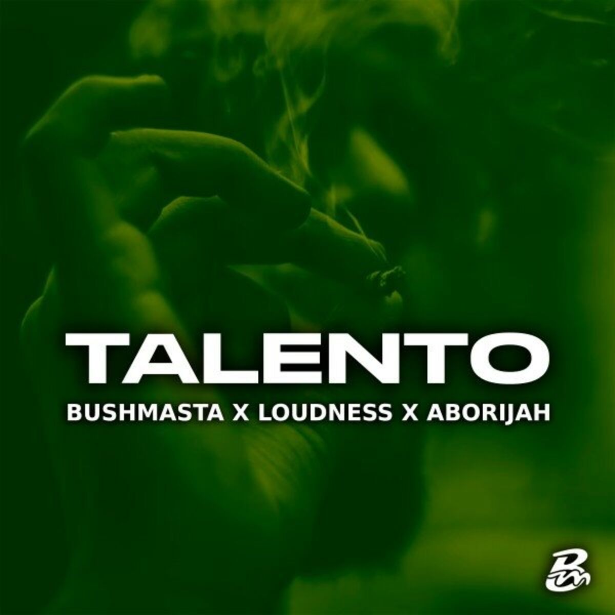 Album cover of Talento