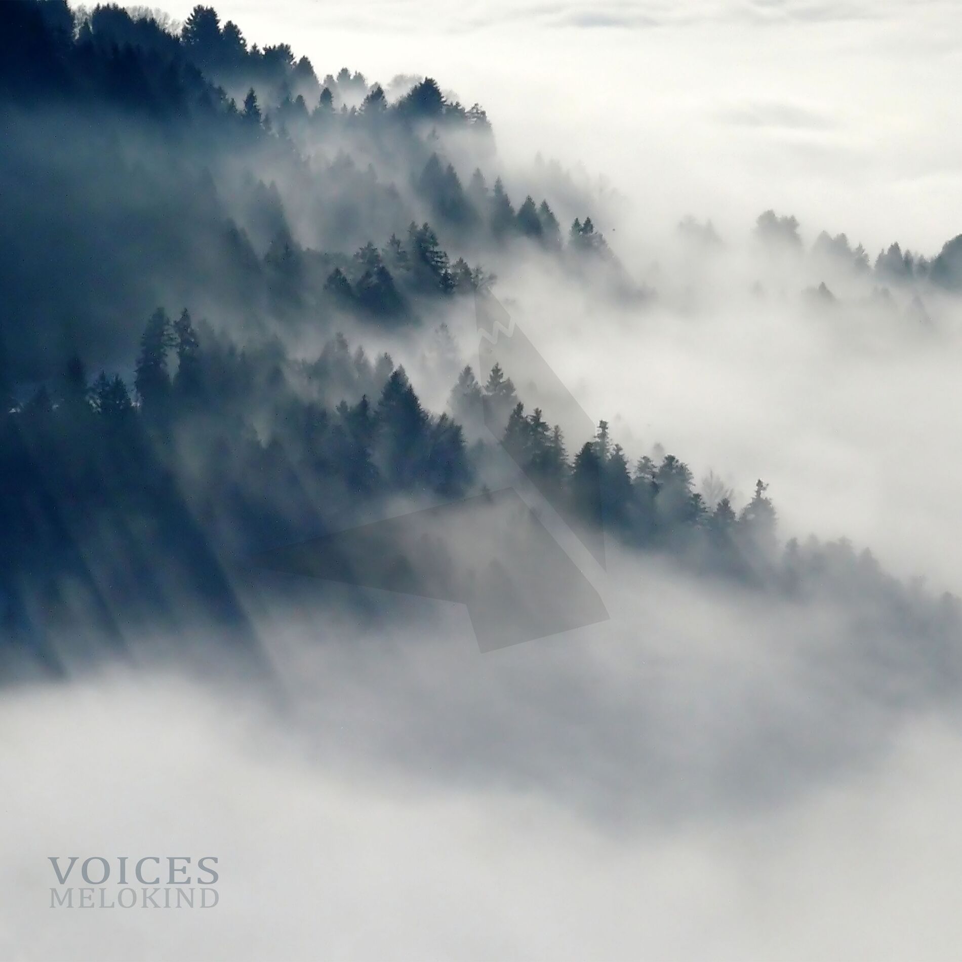 Album cover of Voices