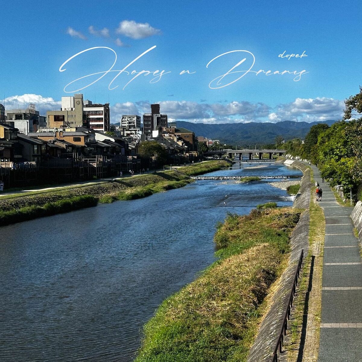 Album cover of Hopes n Dreams