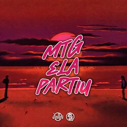 Cover of Mtg - Ela Partiu