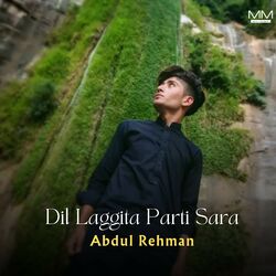 Cover of Dil Laggita Parti Sara