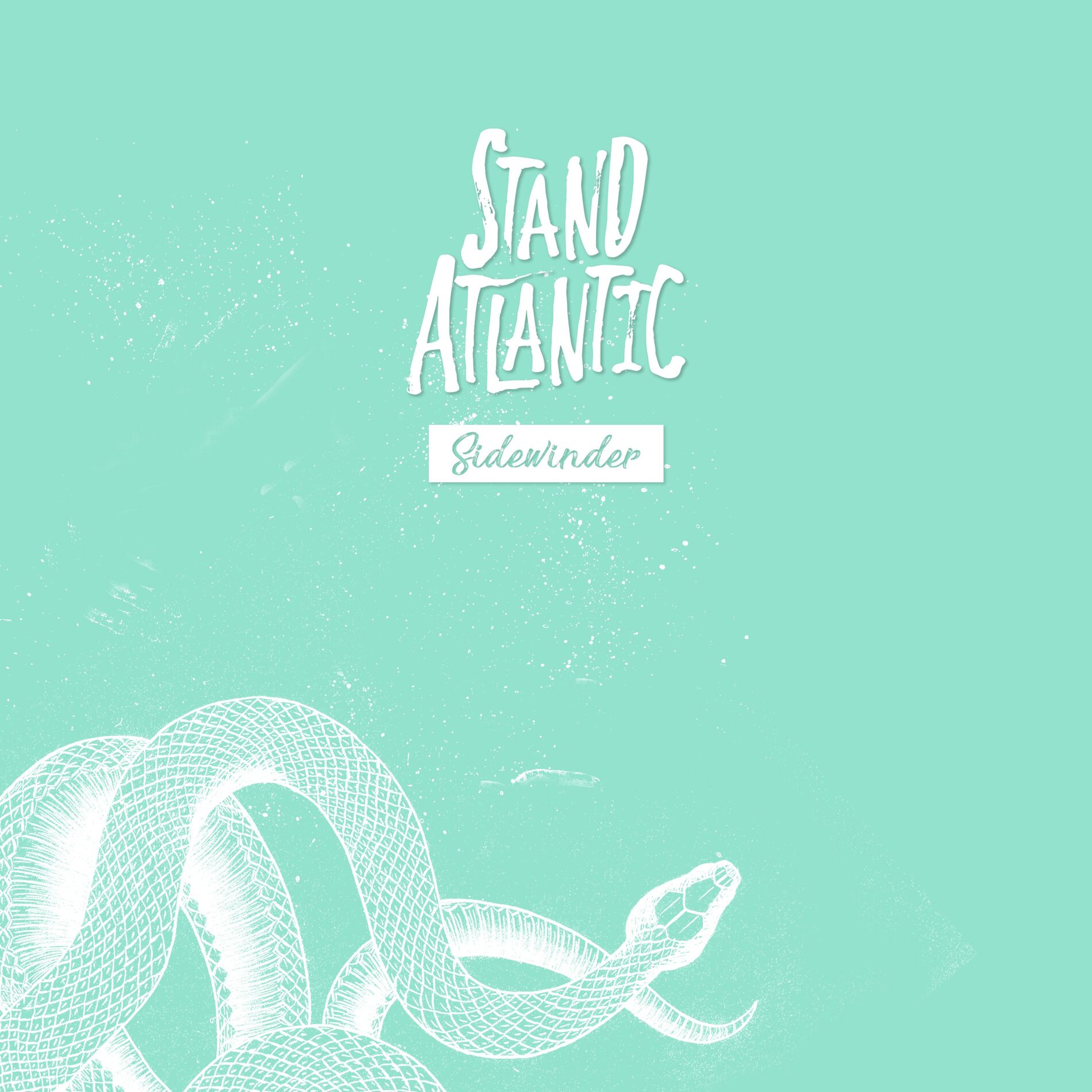 Album cover of Sidewinder