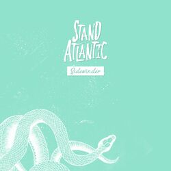 Cover of Sidewinder