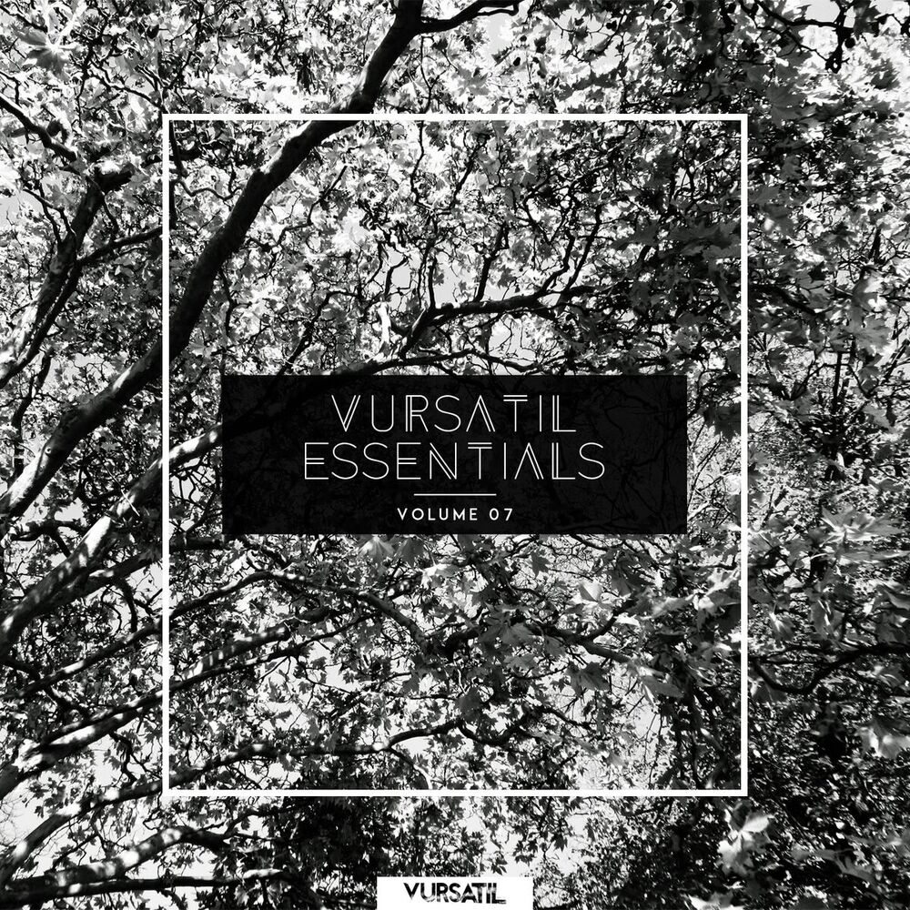 Picture of Vursatil Essentials 07