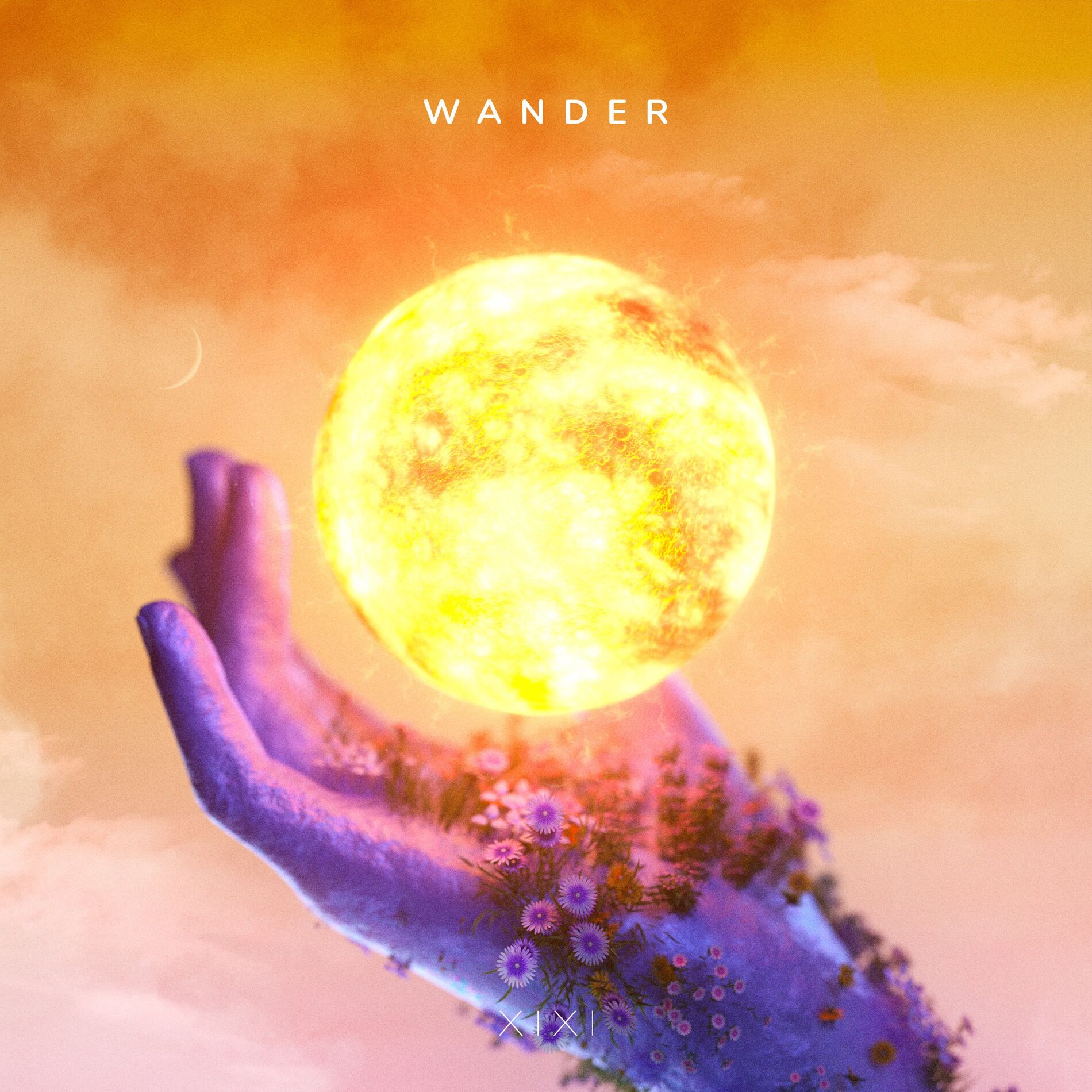 Album cover of Wander