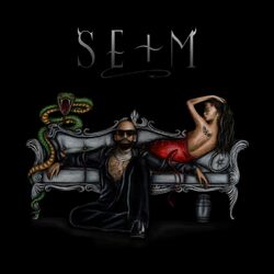 Cover of Sentimiento, Elegancia y Más Maldad