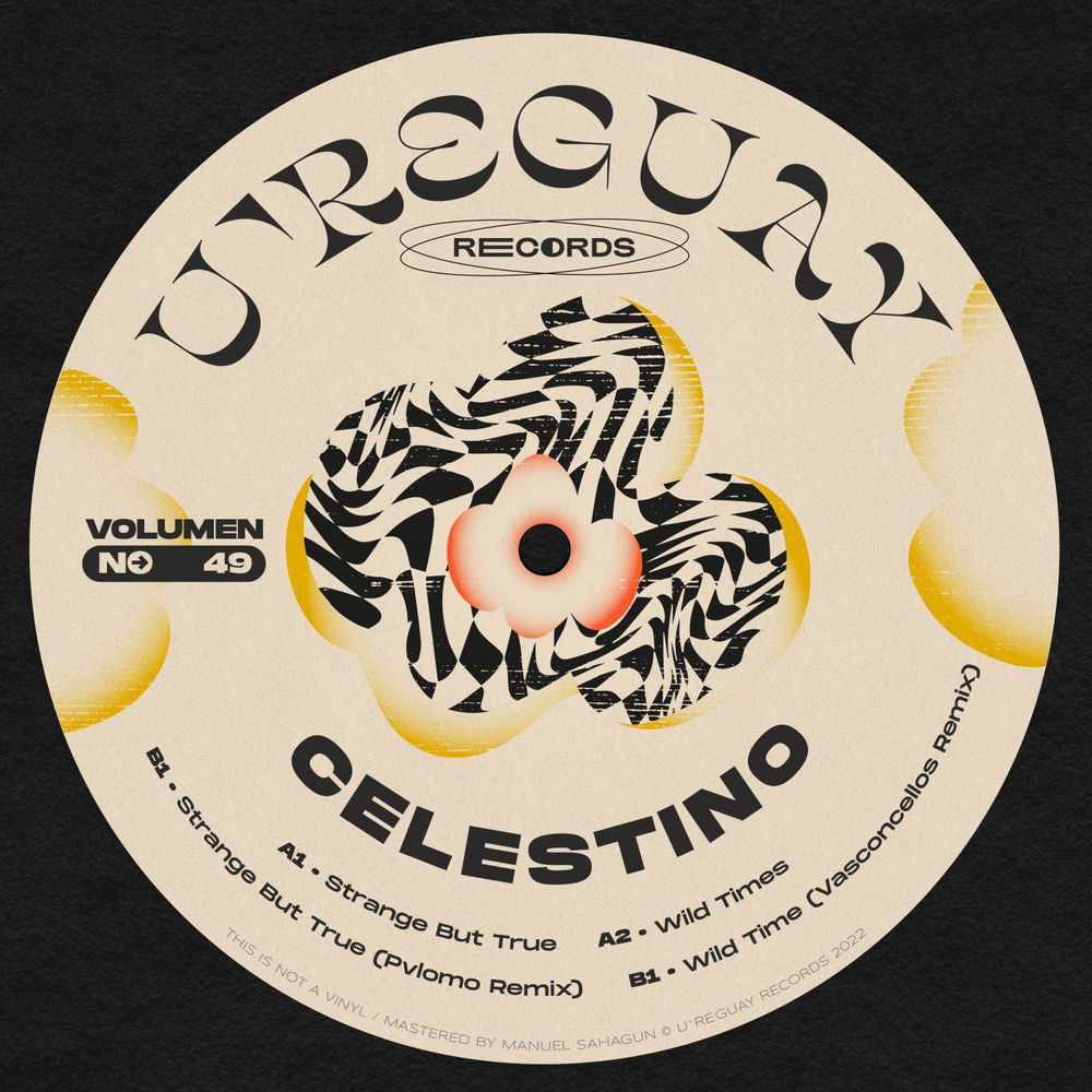 Album artwork for Strange but True by celestino