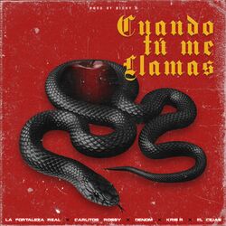 Cover of Cuando Tu Me Llamas