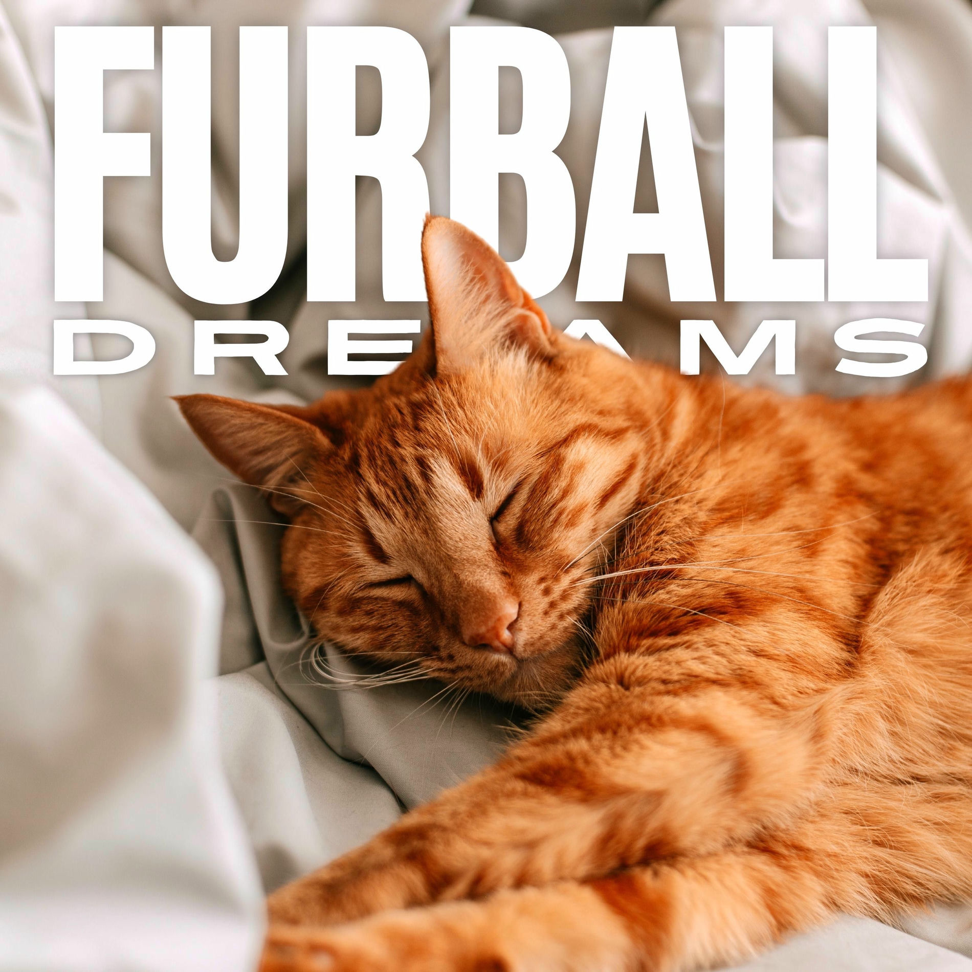 Album cover of Furball Dreams