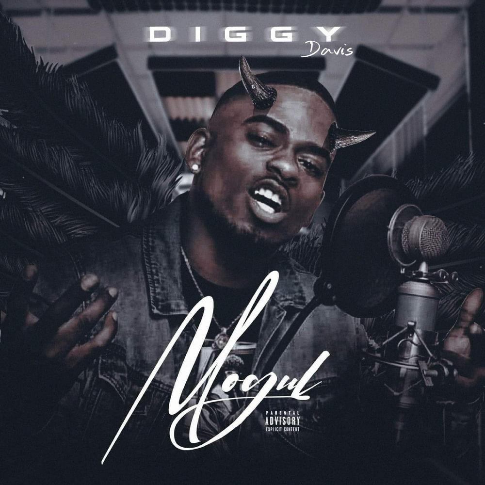 diggy net worth 2018