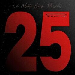 Cover of 25