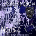 A Days Moon