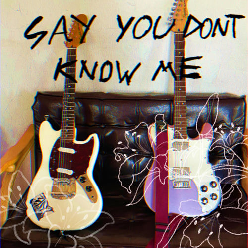 Say You Don't Know Me