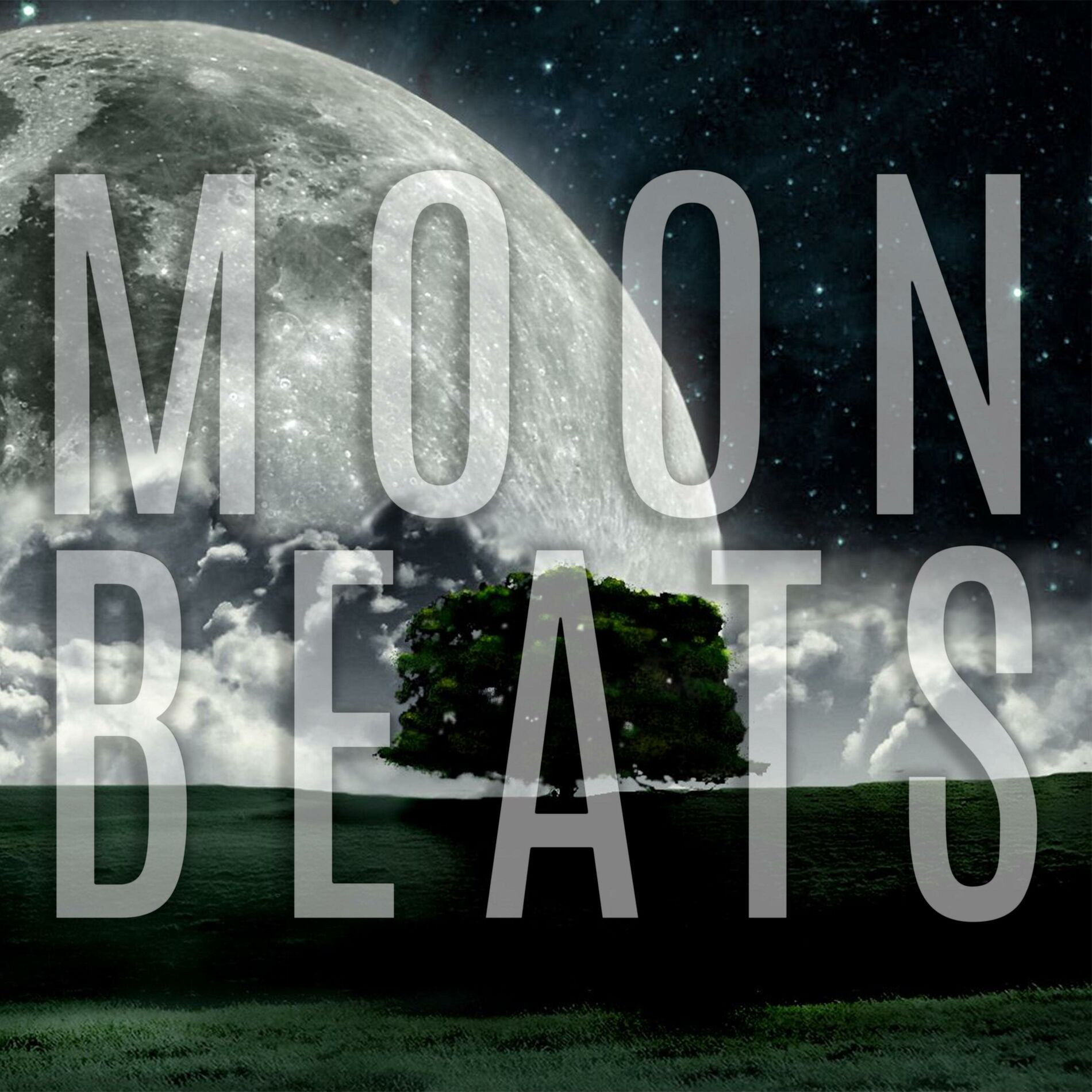 Album cover of Moonbeats